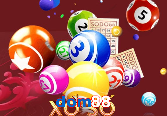 dom88
